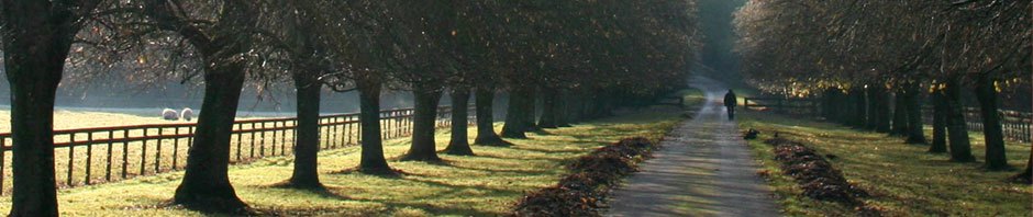 Everhart Tree Services